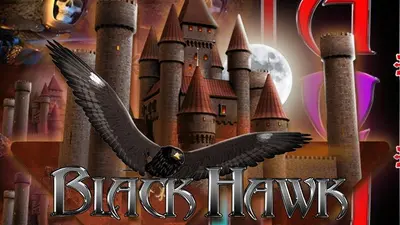 black hawk